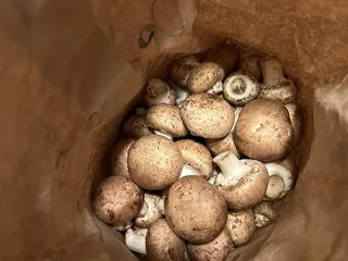 River Valley Ranch Mushroom Farm