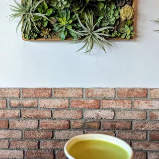Matcha Tea Latte
