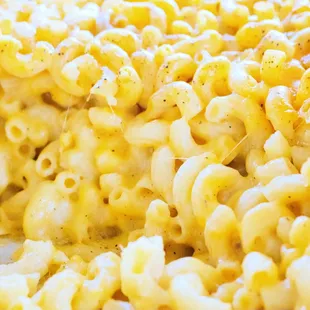 pasta, food, pasta dish