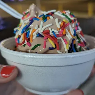 Small Chocolate soft serve with rainbow sprinkles. Tasty!