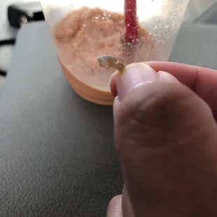 Well that's not supposed to be there! Everything about my blended Thai Tea was great up until I sipped up this piece of plastic.