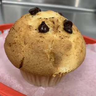 Chocolate chip muffin