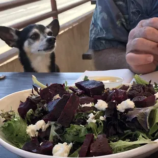 Roasted Beet Salad
