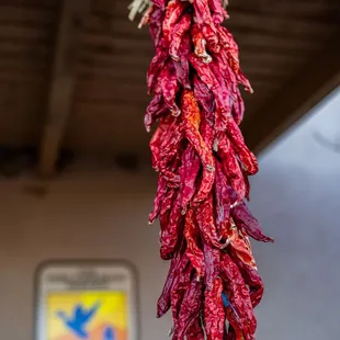 Bosque Del Apache Visitor Center