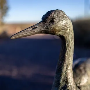 Bosque Del Apache Visitor Center