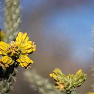 Bosque Del Apache Visitor Center