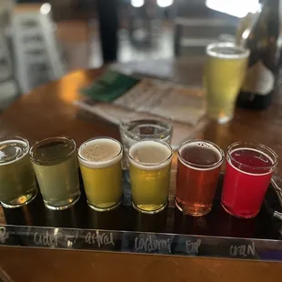Flight sampler