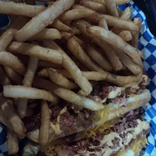 a hot dog and french fries