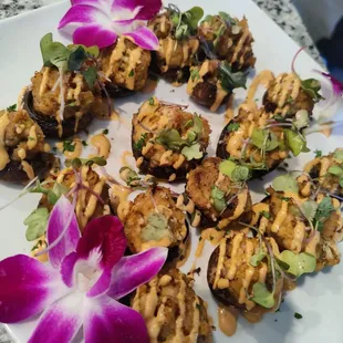 oysters and mussels, food