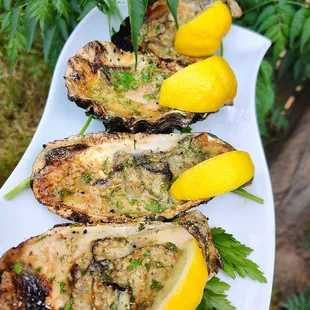 Charbroiled oysters
