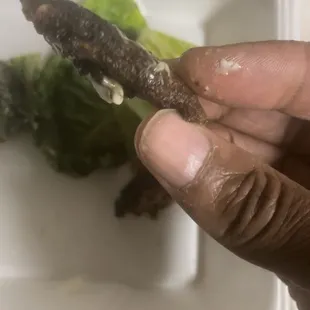 Hockey puck old burger patty