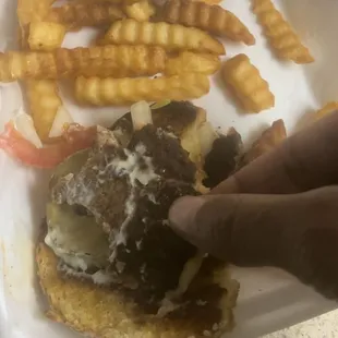 Burnt fries / hockey puck pattie