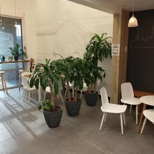 Seating &amp; decorations