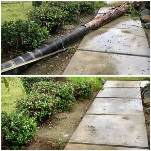 Before and after of a tree removal job we did.