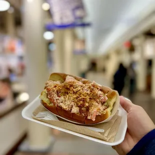 Cold Maine Lobster Roll