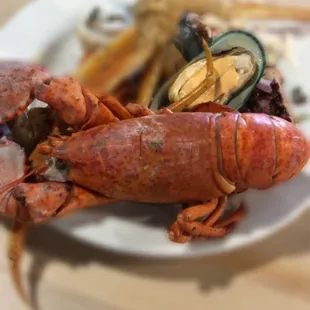 Boston Lobster Feast