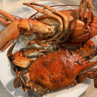 Blue crab and lobster