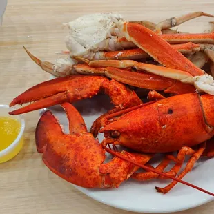 oysters, food, oysters and mussels, mussels, shellfish