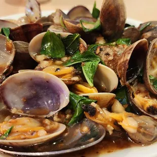 Lunch Special Clams with basil