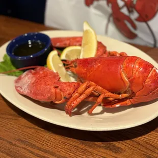 Lobster