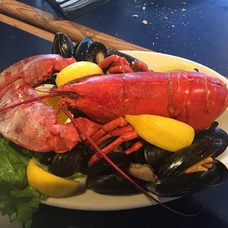 Single Steamed New England Lobster