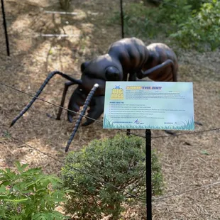 Giant bugs