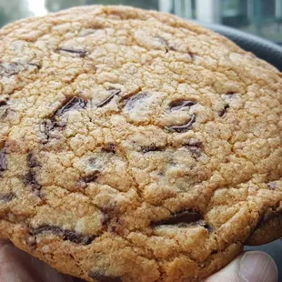 Chocolate Chip cookie (3/21/21)