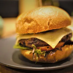 burger, burgers, food