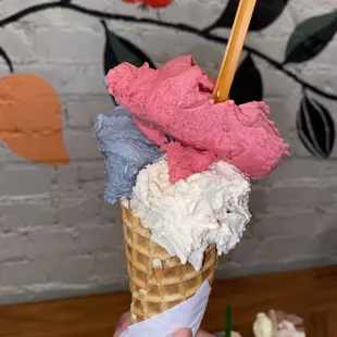 Black sesame and I think pecan and raspberry lychee sorbet