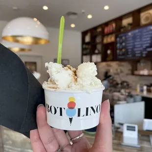 a hand holding a cup of ice cream