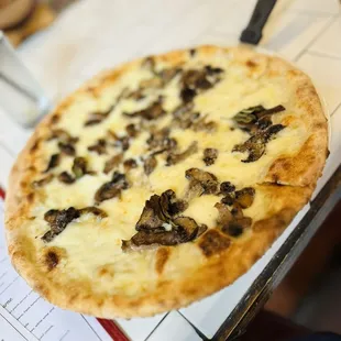 PIZZA Funghi