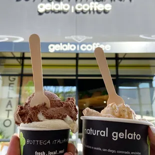 Tiramisu &amp; Pannacotta Gelato and Affogato