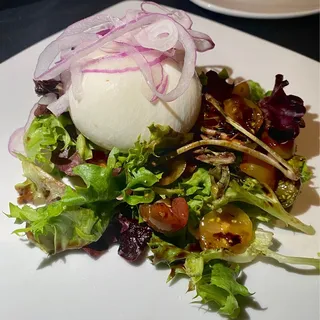 Burrata