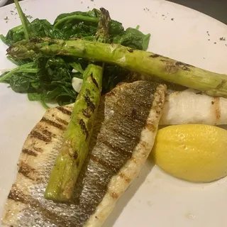 Branzino Pesce