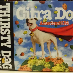 a dog dressed as a superhero