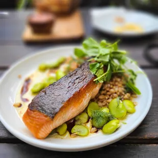 a plate of salmon and beans