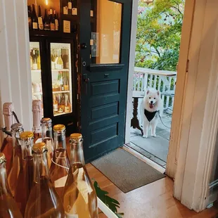 We love the dog-friendly patio here!
