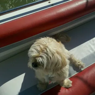 Sheila B.
