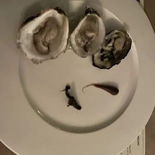 Oysters and ramp kinchi