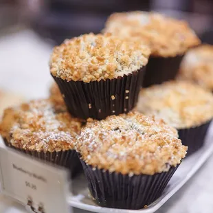 Blueberry Muffin