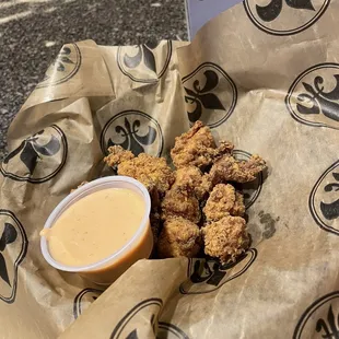 Alligator Bites
