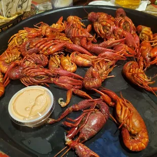Crawfish!