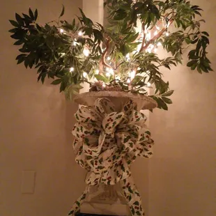 Beautifully  decorated for Christmas