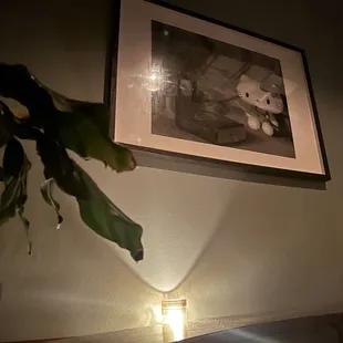 interior, sushi and sashimi