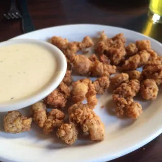 Alligator
