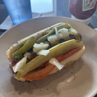 Chicago dog