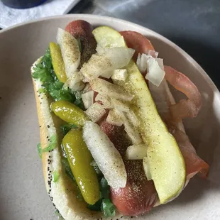 Chicago dog