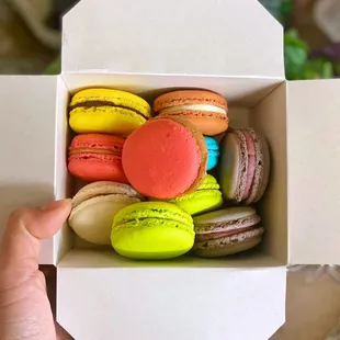 a box of macarons