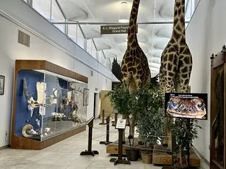 Las Vegas Natural History Museum