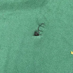 Is this the hole ‍
